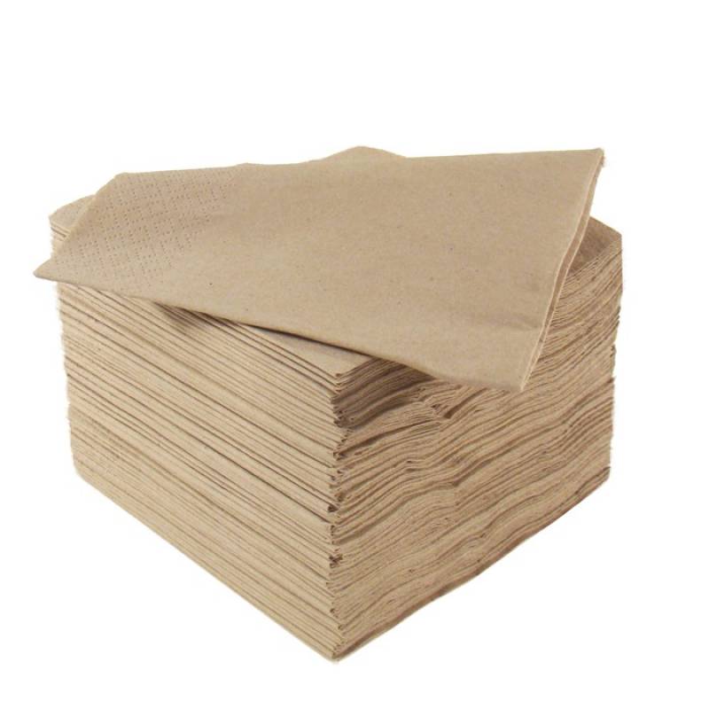 Recycled 40cm Napkins - DIS-NAP-40/2-RE