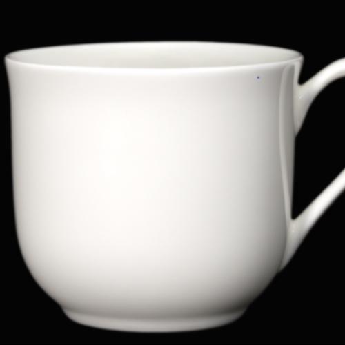 Royal Salisbury Elegance Tea Cup (270ml) - Pack of 6