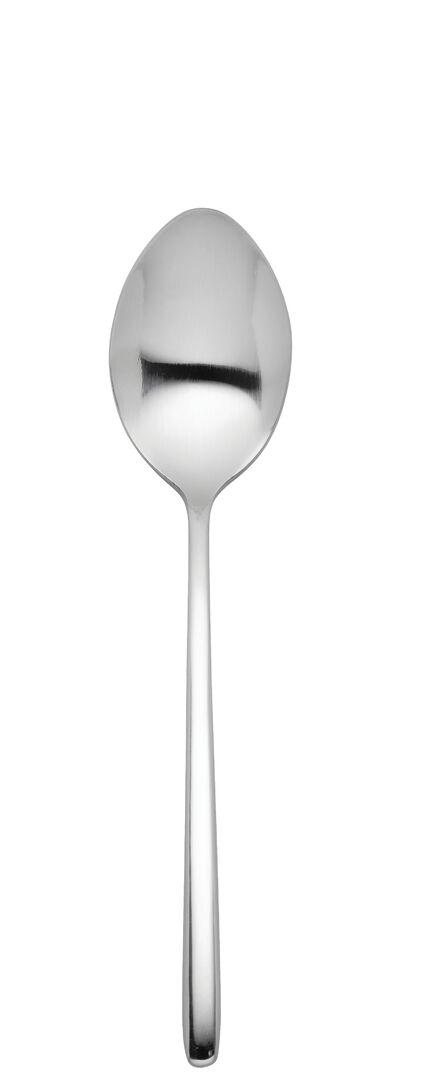 Radius Dessert Spoon - F14006-000000-B12300 (Pack of 300)