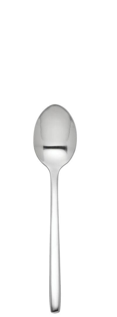 Radius Tea Spoon - F14008-000000-B12300 (Pack of 300)