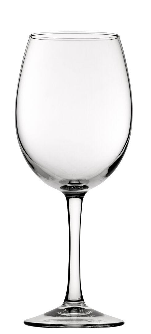 FT Syrah Wine Glass 20.4oz(58cl) - V0176-000000-B01006 (Pack of 6)