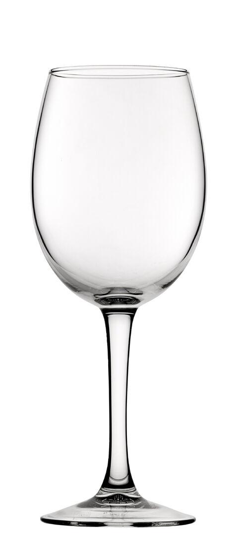 FT Syrah Wine Glass 16.5oz( 47cl) - V0177-000000-B01006 (Pack of 6)