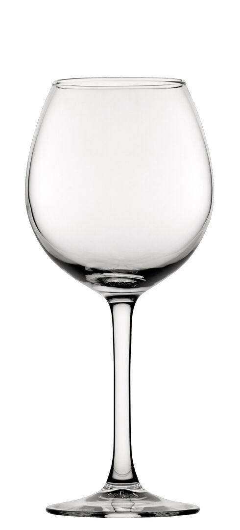 FT Decanter Goblet 16.5oz(47cl) - V4335-000000-B01006 (Pack of 6)