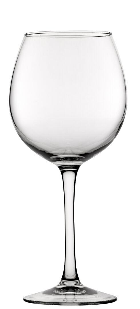 FT Decanter Goblet 20.5oz(59cl) - V4336-000000-B01006 (Pack of 6)